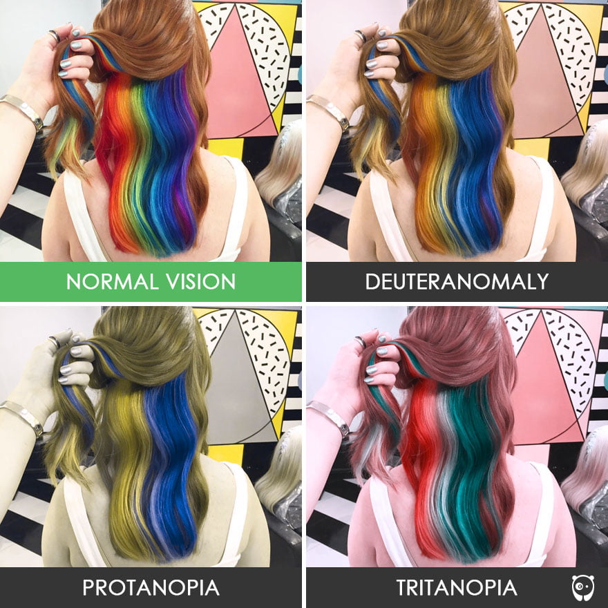 Begini Rupanya Pandangan Seorang Yang Buta Warna | Umum - Oh! Media