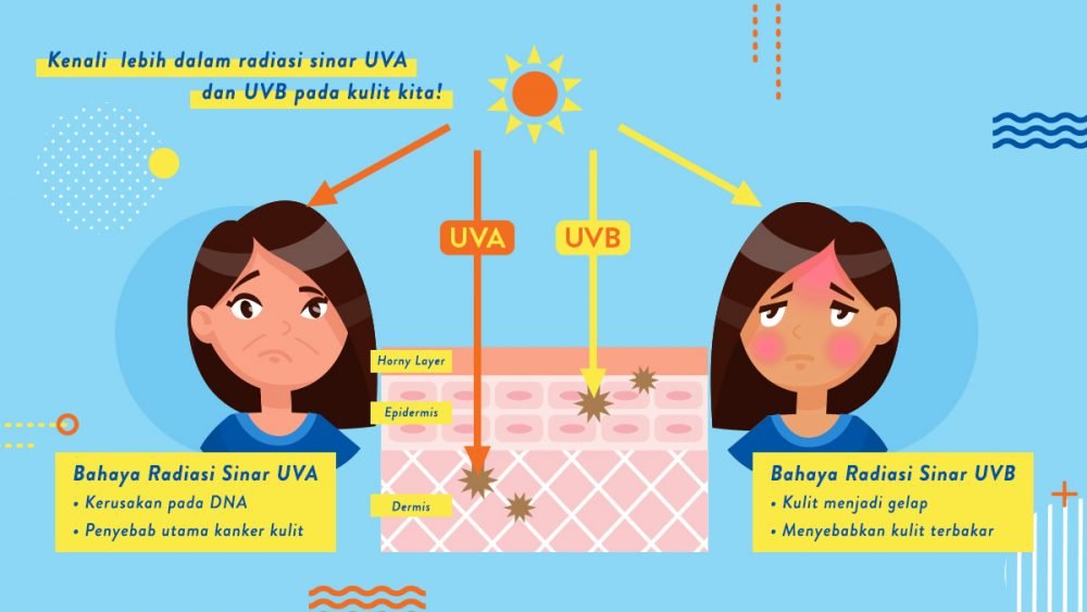 Ohmedia cahaya uva