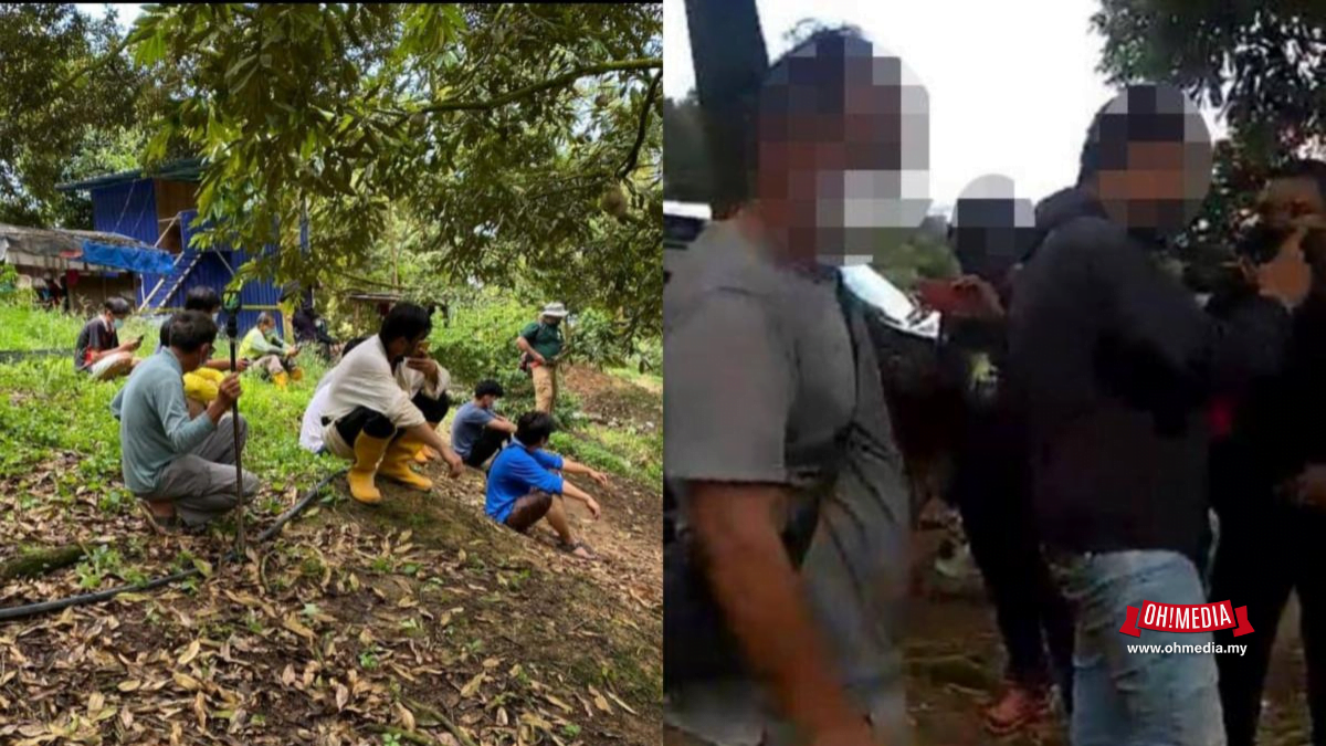 Pekebun Haram