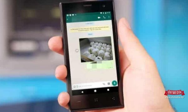 40b3c6a3 1b1b 44d2 bc0d e5eee73e2614