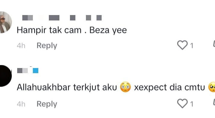 Alya 1