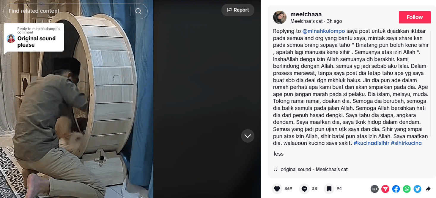 Kucing kena sihir