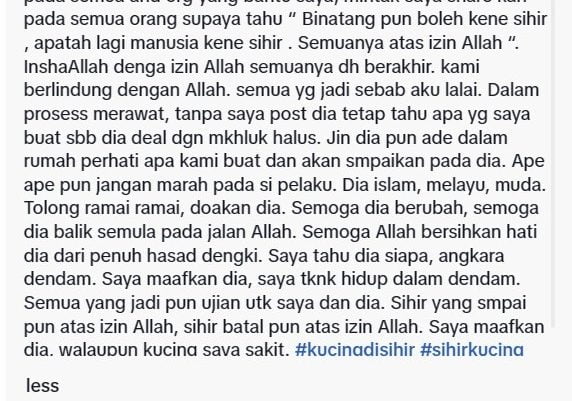 Kucing sihir