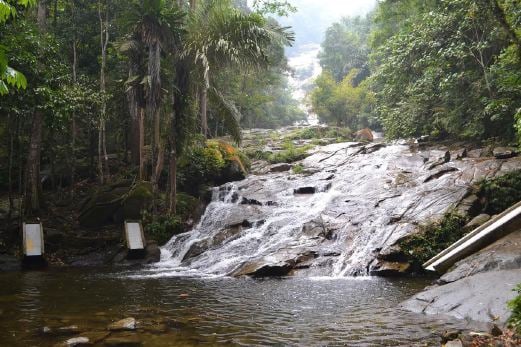 lata kinjang rogol