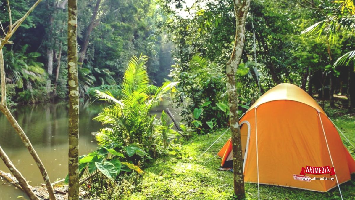 Ohmedia ateyn Featured Image   2024 10 15t144913773