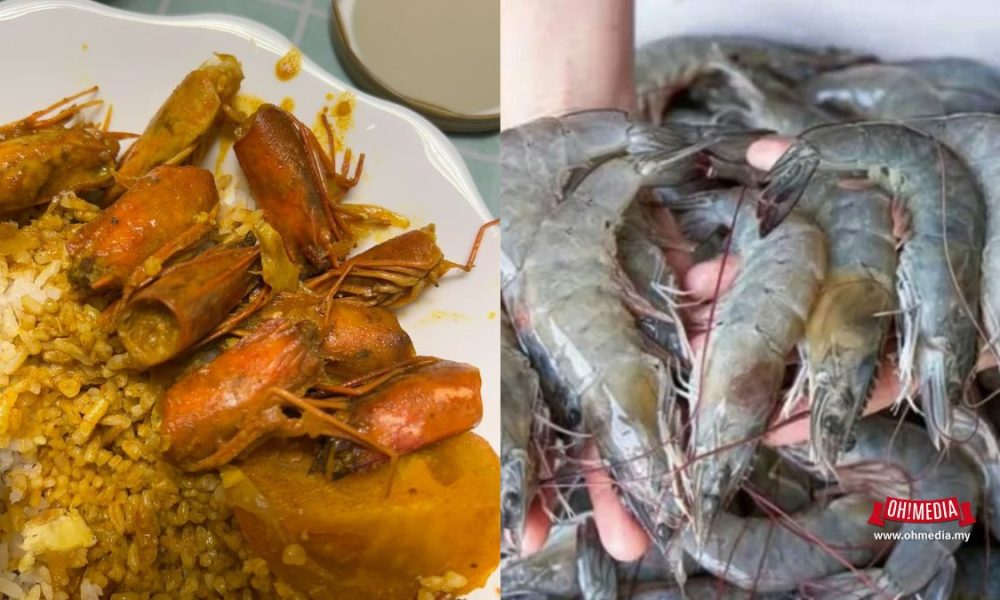 udang