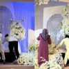 pelamin