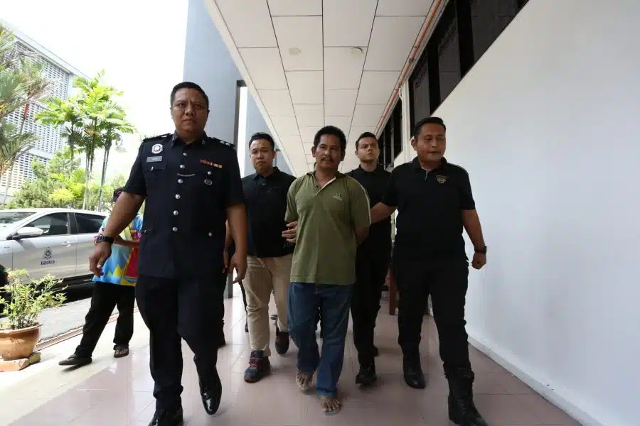 Curi lembu | baru diikat jamin pemandu lori rempuh trak fru ditahan semula kes curi lembu | oh Media | oh Media curi lembu