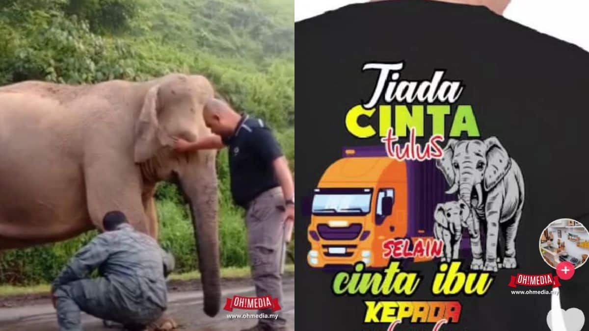 Anak gajah | baju anak gajah rm25 cetus kontroversi netizen kecam penunggang isu | trending oh Media | oh Media Anak Gajah