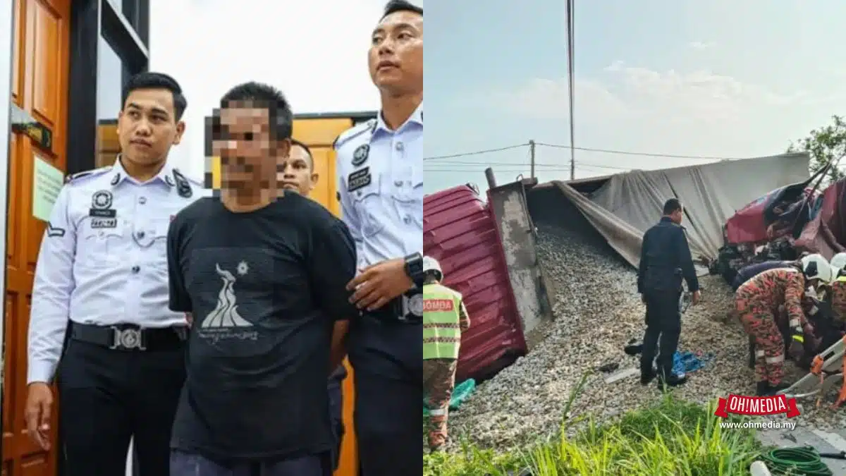 pemandu lori curi lembu