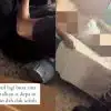 Ohmedia bapa Anak