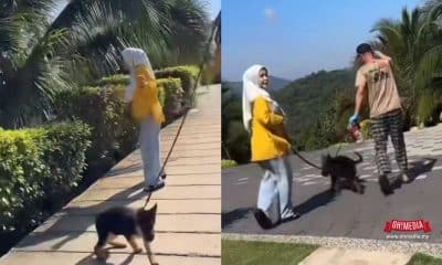 Ohmedia bonda Rozita