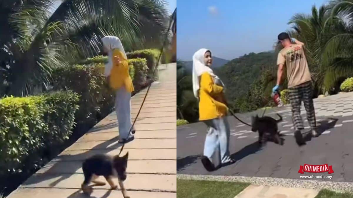 “Siap Berjalan Buat Macam Pet” – Bonda Rozita Bela Anjing German Shepherd Tarik Perhatian |