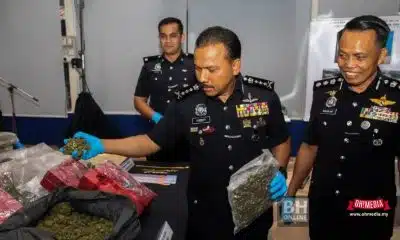 Ohmedia dadah Kelantan