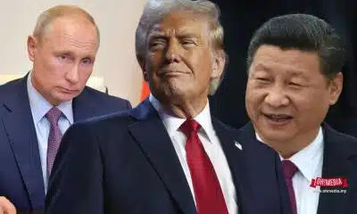 Ohmedia donald trump