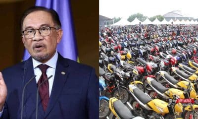 Anwar Ibrahim RXZ MEMBERS