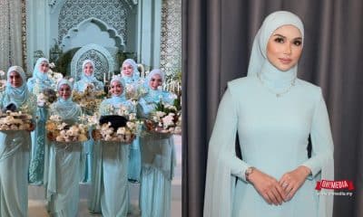 Ohmedia anzalna Dulang