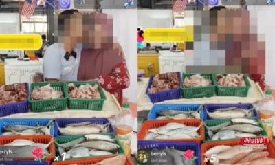 Ohmedia peniaga Ikan