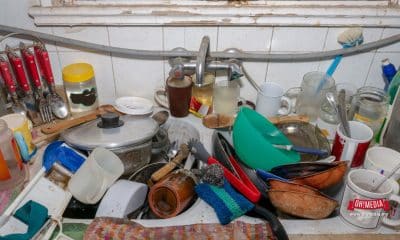 Ohmedia rumah | kalau dia duduk bersila bau hanyir ikan  wanita dedah pengalaman hidup dengan housemate pengotor | oh Media Ohmedia rumah