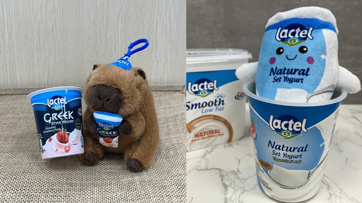 lactel plushies