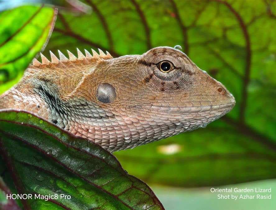 | 200mp sampai tourism malaysia pun terpikat honor magic8 pro jadi telefon rasmi tahun melawat malaysia 2026 | branded oh Media | oh Media