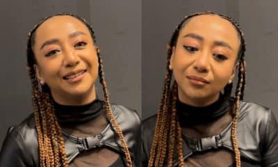 Ohmedia amylea Azizan