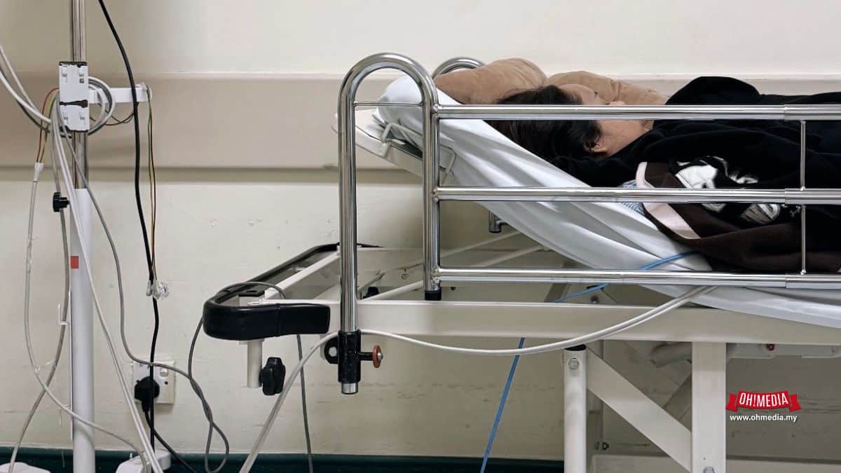 Ohmedia ezzanie Jasny