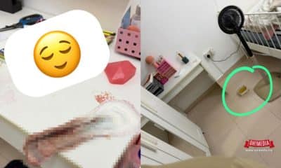 Ohmedia housemate Pengotor