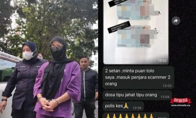 Ohmedia pelakon Scammer