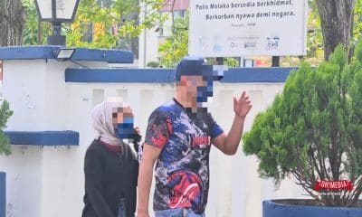 Ohmedia pemandu bas riba