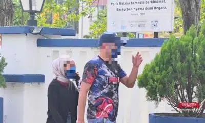 Ohmedia pemandu bas riba