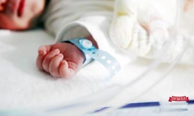 bayi