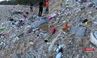 Ohmedia sampah 1