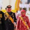 Ohmedia agong sultan ibrahim