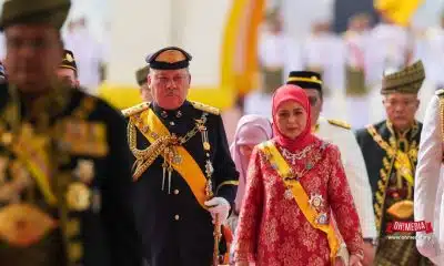 Ohmedia agong sultan ibrahim