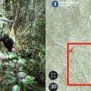 Ohmedia bomba Perak