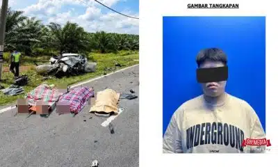 Ohmedia kemalangan Maut