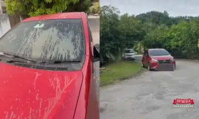 Ohmedia kereta Epoxy