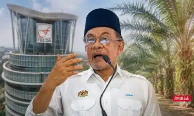 Ohmedia anwar ibrahim felda