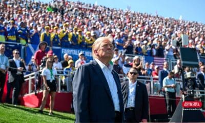 Ohmedia donald trump