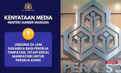 Ohmedia perkeso Lindung