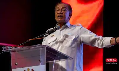 Ohmedia pmx Anwar
