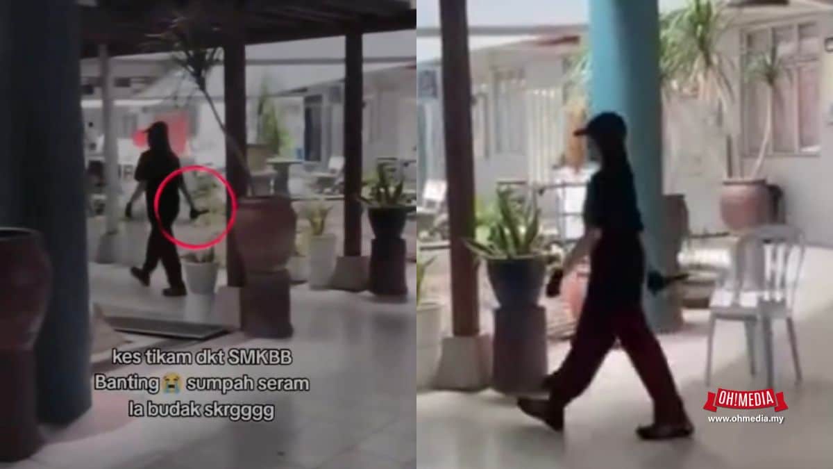 Ohmedia tikam Sekolah
