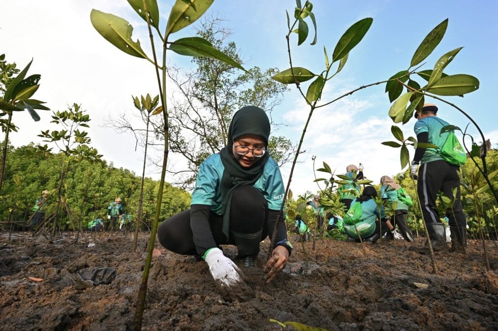 | tnb catat prestasi berdaya tahan bagi separuh pertama 2026 lindungi rakyat ketika ketidaktentuan di asia barat | oh Negara oh Media | oh Media