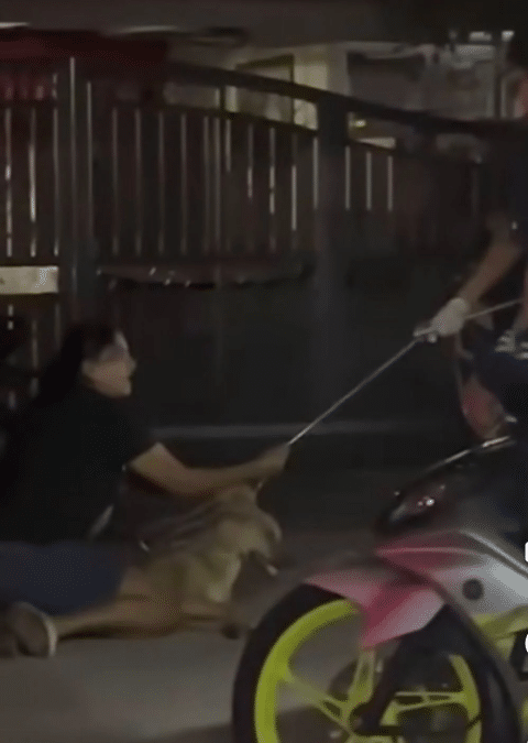 | pemilik rocky pertahankan tindakan mahu siasatan telus | oh Negara oh Media | oh Media