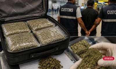 Ohmedia rakyat malaysia ganja india