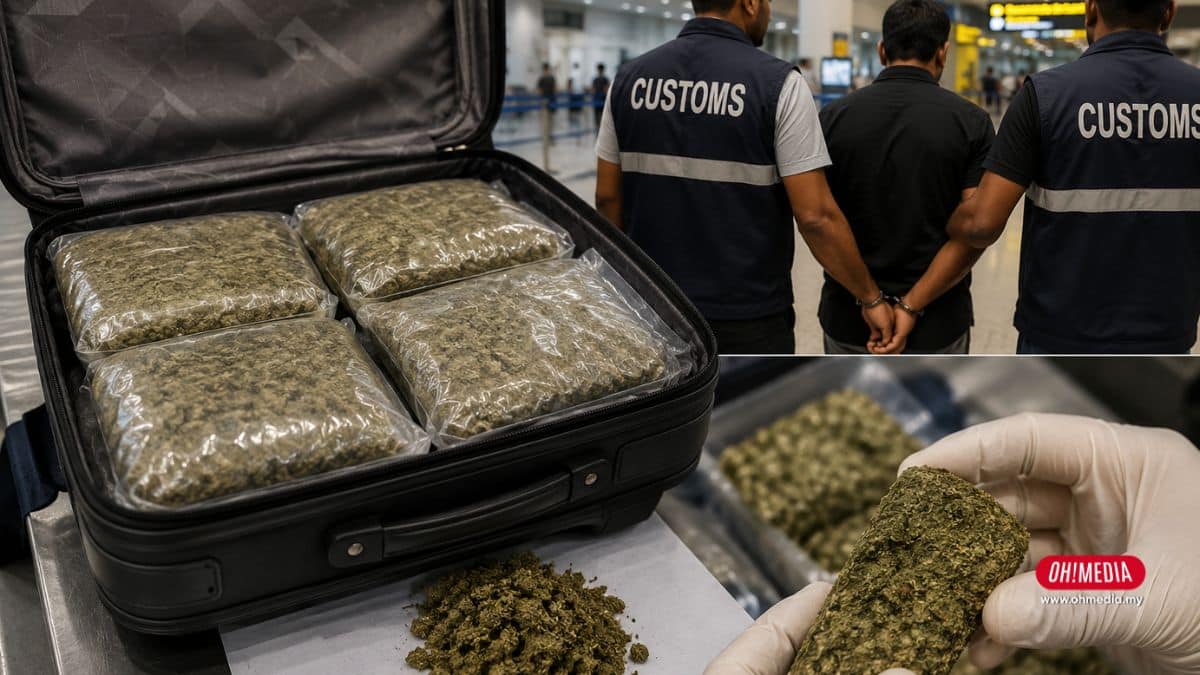 Ohmedia rakyat malaysia ganja india