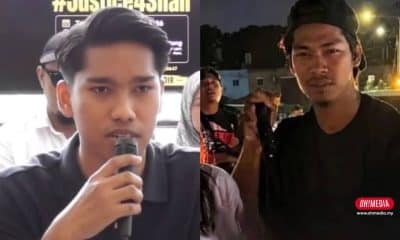Ohmedia shah anjing rocky
