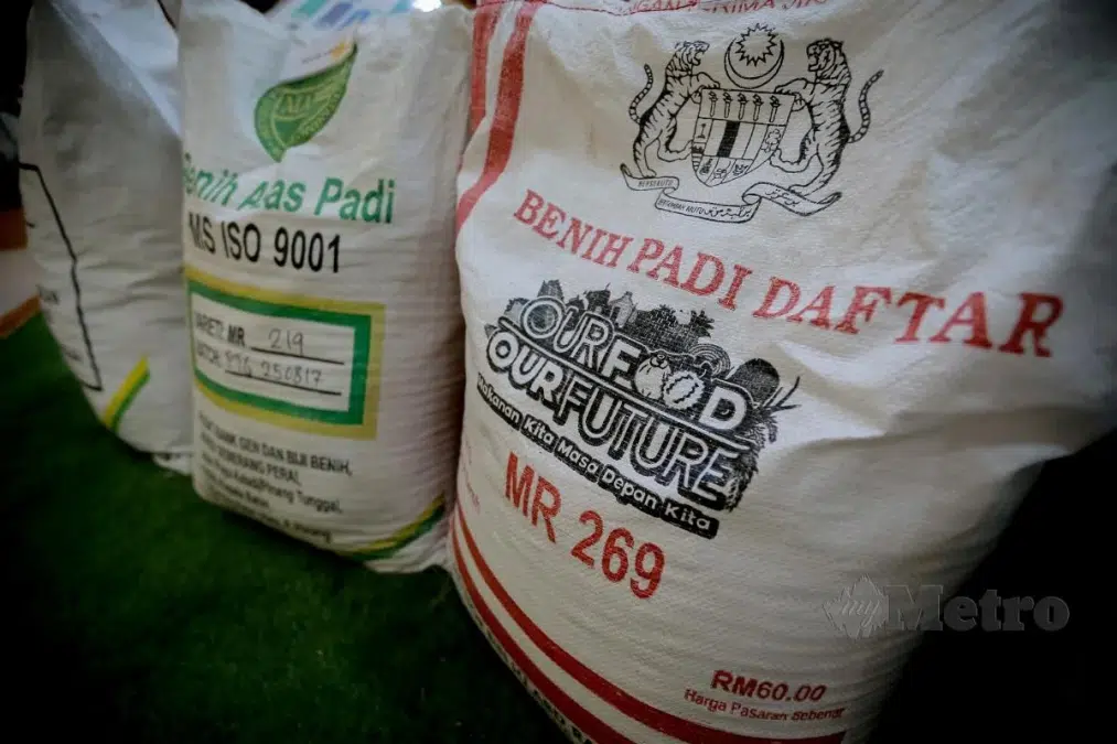 pesawah