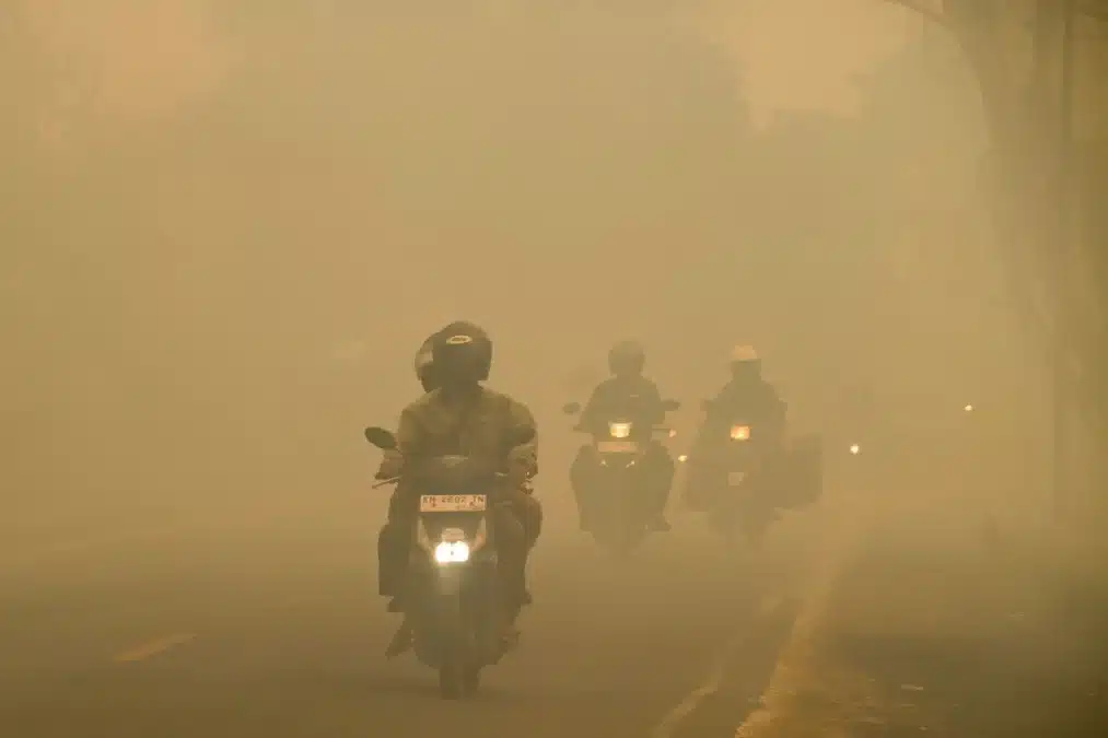 jerebu indonesia